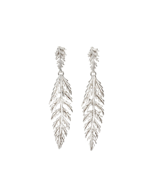 Aretes Hoja de Helecho en Plata 950